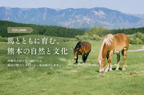 コラム